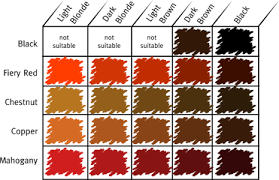 Worlds End Natural Products Henna Guide Shade Chart