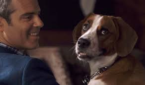 Elaine Epstein — Underdog Films