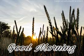 We did not find results for: 911 Beautiful Good Morning Nature Hd Images Pics 2021 Best Status Pics