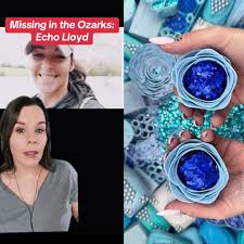 #greenscreen please help@Kelaey Michelle bring Echo  home🙏#missouri#ozarks#missing#missingperson#mystery