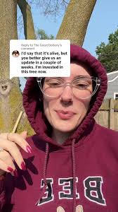 Cuidado del árbol: ¿Muerto o salvable?