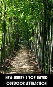 Here S New Jersey S Top Outdoor Attraction And You Ll Definitely Want To Do It Trip Outdoor Travel Adventure Things To Do In New Jersey