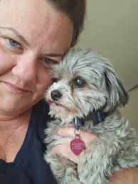 My teacup Frances and her older brother Walter