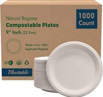 Paper Plates Disposable 9 Inch , Compostable Bagasse [500 Pack] Bulk Case , Made from 100% Sugarcane Biodegradable Dinner Plate