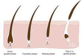 This is true for even hair growth. Plantur 39 Causes Of Hair Loss In Women