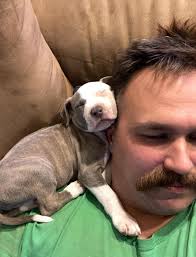 Wishing Dev Beer a happy anniversary