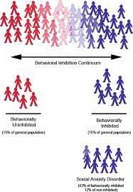 The Neurobiology Of Behavioral Inhibition As A Developmental Mechanism Springerlink