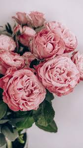 Wallpaper rose flower bouquet images hd. Roses Flowers Bouquet Pink Composition Hd Mobile Wallpaper Peakpx