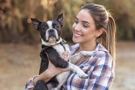 How does pet insurance work? What Vet Services Do Pet Insurance And Pet Wellness Plans Cover Greensboro Vet