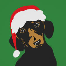 Cute Christmas Dachshund Illustration Poster Christmas By Junkydotcom Cute But Naughty Christmas Dachs Dachshund Canvas Art Dachshund Illustration Dog Poster