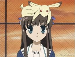 Tooru Honda Character Anisearch In 2020 Fruits Basket Anime Fruits Basket Manga Fruit Basket Anime