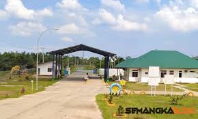 Belajar tentang tugas, pendapatan, pandangan, dan keperluan yang biasa. Apa Saja Nama Jabatan Di Perkebunan Kelapa Sawit Dan Fungsinya