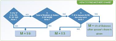 Lesson 4 Islamic Inheritance Laws A Comprehensive Course