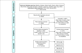 Prisma Systematic Review Flowchart Www Bedowntowndaytona Com