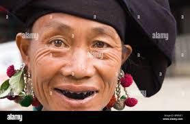 Il Vietnam. Nei pressi di Lai Chau. Donna sotto la zanzariera. La lettura  del libro. Il turista Foto stock