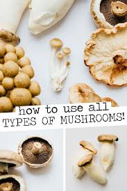 Types Of Mushrooms And How To Use Them Mushroom Recipes Healthy Stuffed Mushrooms Mushroom Recipes Vegan