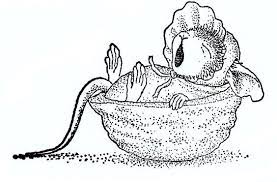 bonne nuit house mouse stamps digital coloriage buse