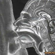 Рентген минета