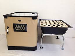 Aquaponics System Complete Kit Genesis G 24 Model Includes 24 Sq Ft Grow Bed 140 Gallon Fish Tank Pre Cut Plumbing Pumps Clay Pebbles Buy Online In Dominica At Dominica Desertcart Com Productid 12881282