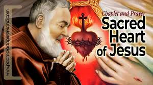 The solemnity of the most sacred heart of jesus (latin: Video Chaplet Of Sacred Heart Of Jesus Padre Pio S Favorite Prayer á´´á´°