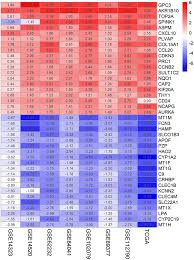 Wei chien partners corporate law firm kuala lumpur corporate law firm specialise in corporate commercial capital markets fund asset management and real estate property. Frontiers Identification Of Hub Genes And Their Correlation With Immune Infiltration Cells In Hepatocellular Carcinoma Based On Geo And Tcga Databases Genetics
