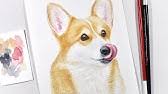 A custom watercolor is so much more alive than you. Dog Portrait In Watercolor Youtube