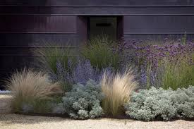 Voilà une haie originale et très facile à vivre ! Idees D Amenagement Jardin Sans Entretien Conseils Utiles