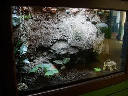 Clay Riverbank Background Terrarium Gecko Terrarium Leopard Gecko Terrarium