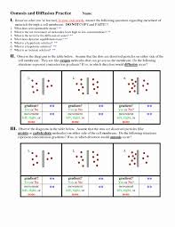 Diffusion And Osmosis Worksheet Best Of Osmosis And Diffusion In 2020 Practices Worksheets Graphing Quadratics Simple Present Tense Worksheets