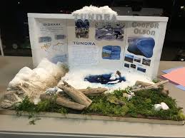 Tundra Biome In A Box Project Tundra Biome Diorama Made With Insta Snow Styrofoam Mountains Polymer Clay And Elmer S Clear Glue For Ocean Mixed Biomes Biomes Project Blue Food Coloring
