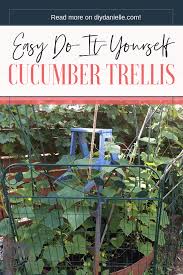 He said he likes the single trellis in the middle design because it makes for easy picking of his cukes and tomatoes. Cucumber Trellis From A Wood Ladder Diy Danielle