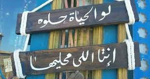 Mego انت الحياة يا حمار Mego Arabic Quotes Cafe Art Romantic Quotes