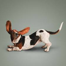 I love getting home knowing that he was in good hands and knowing just how many squirrels he saw. Hilarious Yoga Dogs 9 Photos