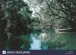 Der kongo (auch congo und zaïre, also fluss oder wasser) ist ein strom in afrika. Kongo Fluss Kafubu Stockfotografie Alamy