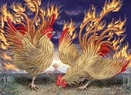 Phoenix Fire Roosters Rooster Art Rooster Illustration Rooster