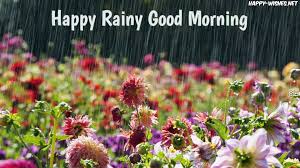 Check spelling or type a new query. Good Morning Rainy Images With Birds Happy Rainy Day Flowers Growing In Rain 1920x1080 Download Hd Wallpaper Wallpapertip