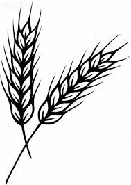 Pin By Via Venustas On Stencils And Tattoos Wheat Drawing Wheat Tattoo Drawings Drew emz for y'all and i (emz) u/brytheredstoner. wheat drawing wheat tattoo