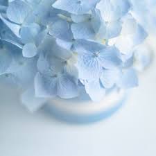 Blues Blue Aesthetic Pastel Baby Blue Aesthetic Blue Aesthetic