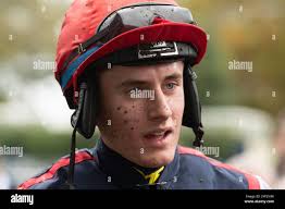 Grundon hi-res stock photography and images