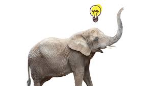 In a day, an elephant can drink 50 gallons (200 liters) of water. 7 Behaviors That Prove Elephants Are Incredibly Smart Mental Floss