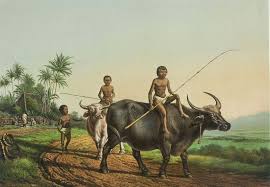 Java 1865 Anak Anak Mengembalakan Kerbau Di Jawa Lukisan Frans Lebret 1820 1909 Litografi Gambar Lukisan