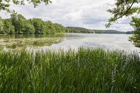 It is the capital of mrągowo county and the seat (though not part of) the gmina mrągowo. Mragowo Informacje Atrakcje Pogoda Meteor