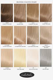 Organized Blonde Hair Chart Colors Snghair Color Chart