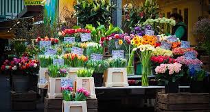 Why are you so slow/slowly? Why Are Flowers So Expensive