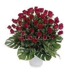 Buon compleanno lodovica comello#happybirthday #lodovicacomello. 50 Rose Rosse Medium Consegna A Domicilio