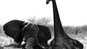 Bildergebnis für Florian Baudrexel & Jens Ullrich