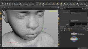 Edit Points Houdini Anatomy Bones Feature Film