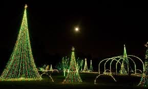 Dancing Light Show Under The Moon At Dominion Garden Of Lights At Norfolk Botanical Garden Garden Of Lights Public Garden Famous Gardens