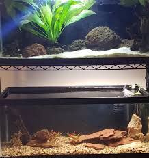 Create a beautiful background wall of plants to add extra foliage and shelter for your fish, while giving your fish have you been wanting to change up your aquarium background to something unique? Mediocre Diy Tip Plasti Dip For Background Aquariums