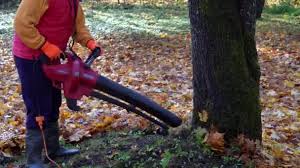 At this stage, a leaf blower makes your life easy and remove all dead leaves from your garden in no time. 222 Leaf Blower Stock Videos Royalty Free Leaf Blower Footage Depositphotos